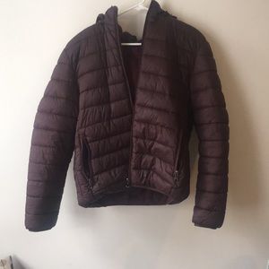 Winter Maroon Jacket